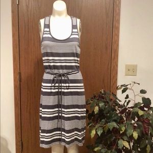 Toad & Co Cotton Blend Variegated Stripe Dress